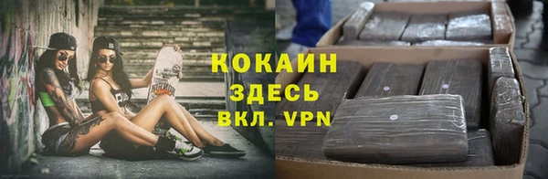 трава Вязьма