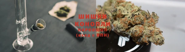 стаф Горнозаводск