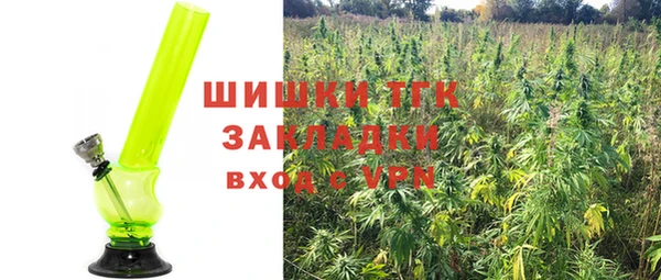 трава Вязьма