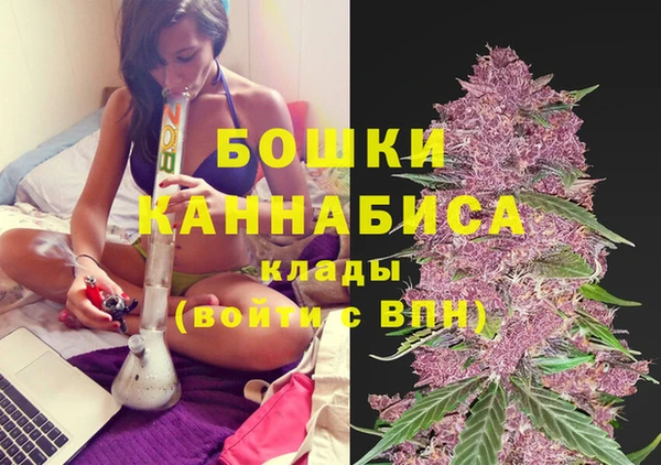 меф Гусь-Хрустальный