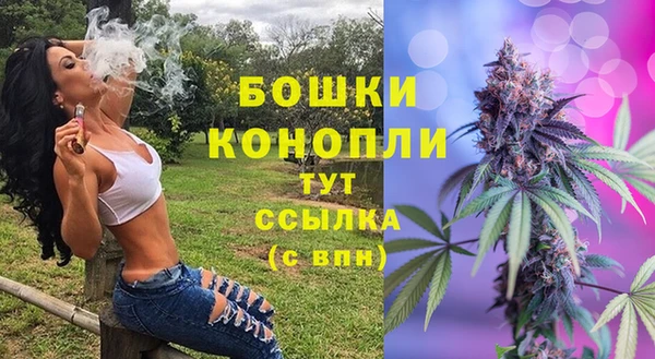 меф Гусь-Хрустальный