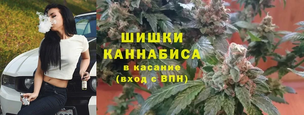 трава Вязьма