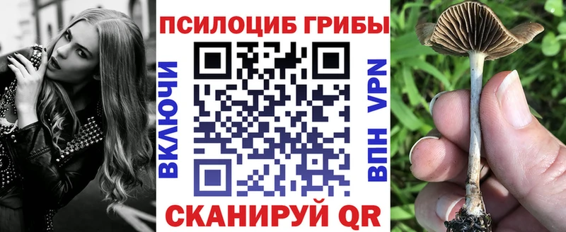 мега ссылки  магазин    Елабуга  Галлюциногенные грибы Psilocybe 